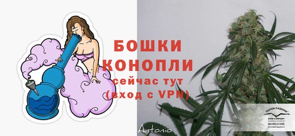 Альфа ПВП Инта