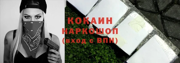 Альфа ПВП Инта