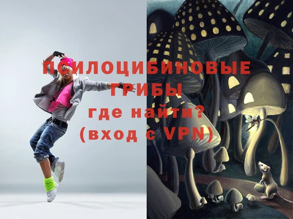 Альфа ПВП Инта