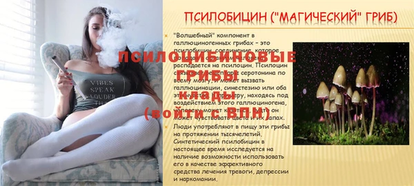 Альфа ПВП Инта