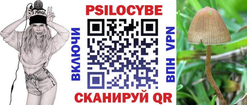Купить закладки  Майкоп  Галлюциногенные грибы MAGIC MUSHROOMS 